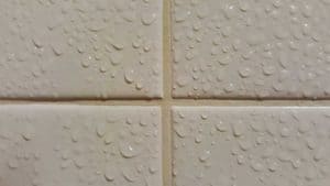 Why Does My Grout Change Color When Wet: Strange but True - Home Zesty