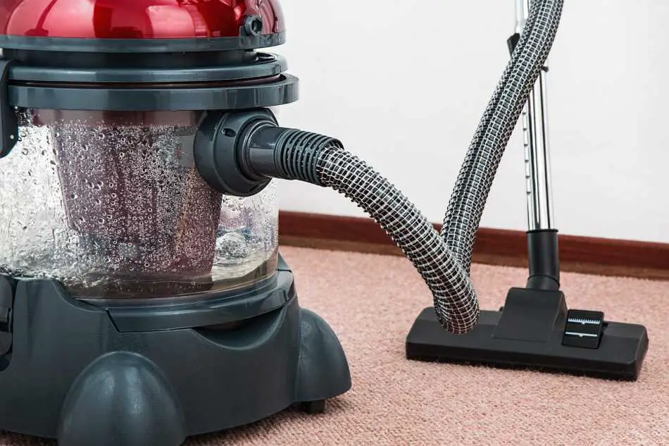 How Often Should Carpet Be vacuumed